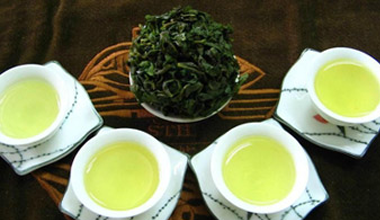 绿茶丰收 年产值将达3亿元